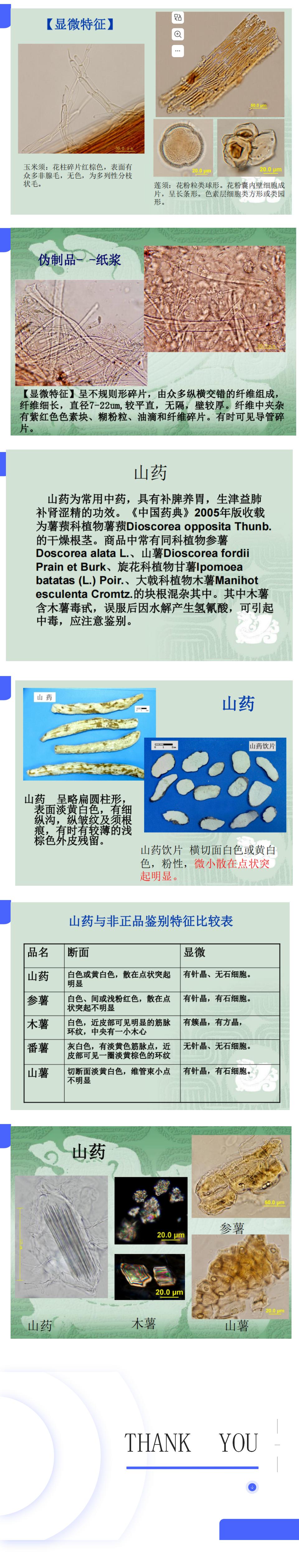 中药性状和显微鉴别-陈倩倩_04.jpg